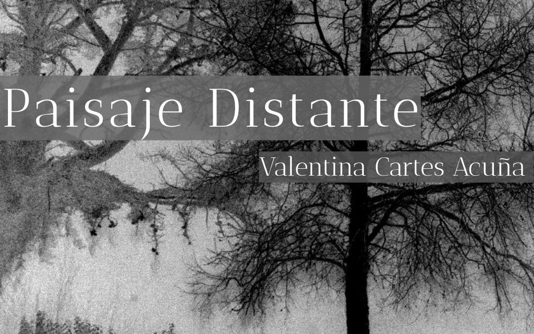 Exposición de egreso – Escuela de Artes Visuales / Paisaje distante –  Valentina Cartes Acuña